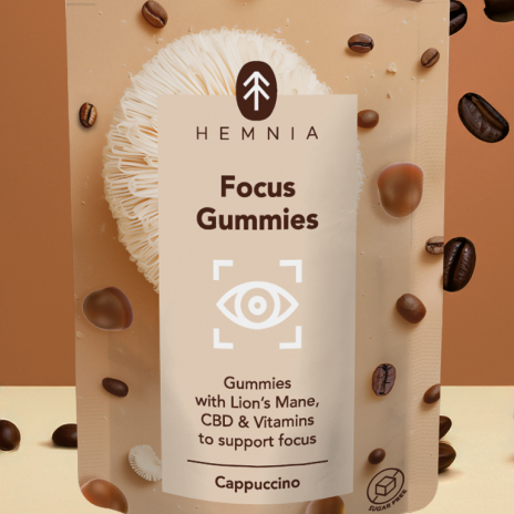 2x Fokus Gummies - für Unterstützung Konzentration mit Cappuccino-Feroomen, 30 Stück